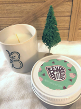 Load image into Gallery viewer, MINT CHOCOLATE CHIP